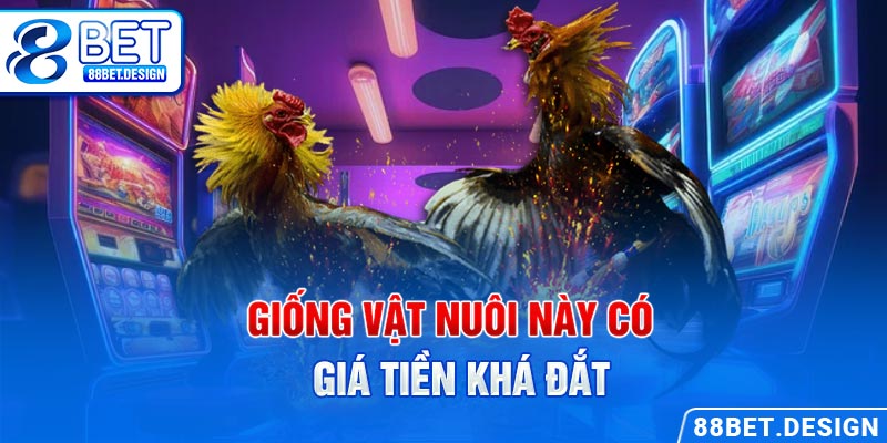 Giống vật nuôi này có giá tiền khá đắt