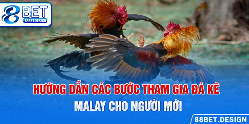 Hướng dẫn các bước tham gia đá kê Malay cho người mới